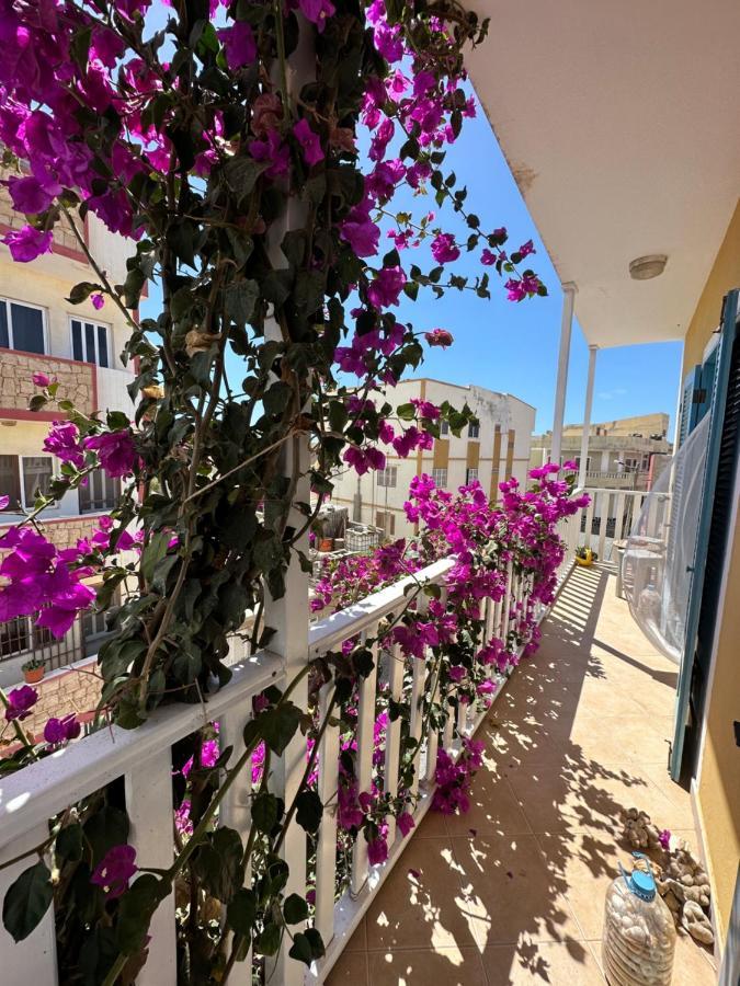 B&B Mi Ma Bo, Sal Rei, Boa Vista, Cape Verde, Free Wi-Fi מראה חיצוני תמונה