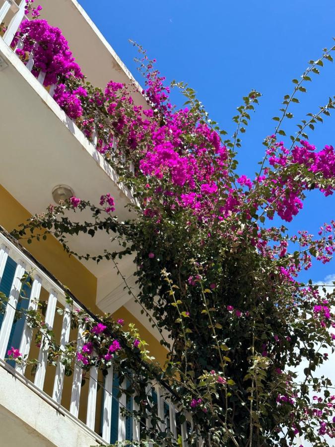 B&B Mi Ma Bo, Sal Rei, Boa Vista, Cape Verde, Free Wi-Fi מראה חיצוני תמונה