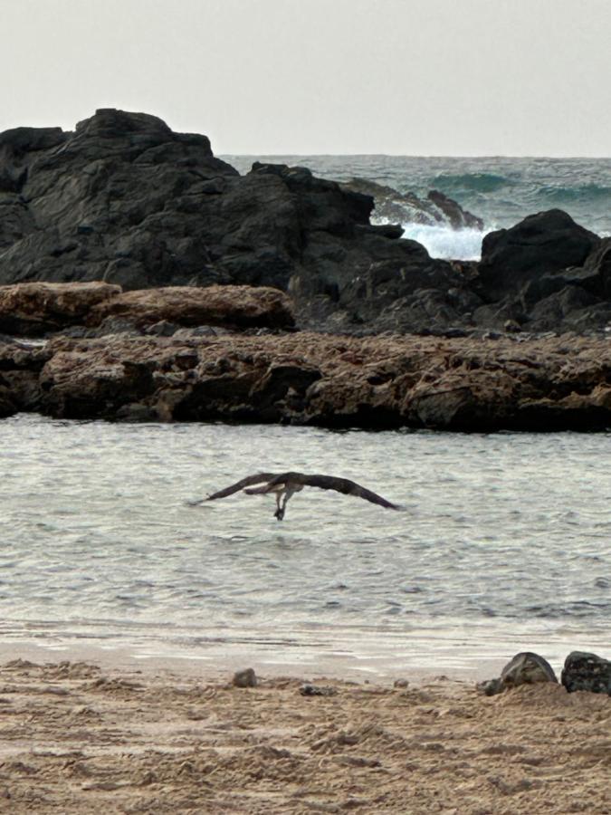 B&B Mi Ma Bo, Sal Rei, Boa Vista, Cape Verde, Free Wi-Fi מראה חיצוני תמונה