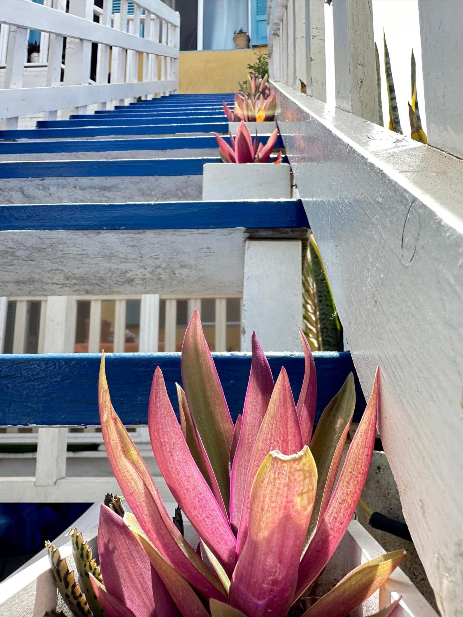 B&B Mi Ma Bo, Sal Rei, Boa Vista, Cape Verde, Free Wi-Fi מראה חיצוני תמונה