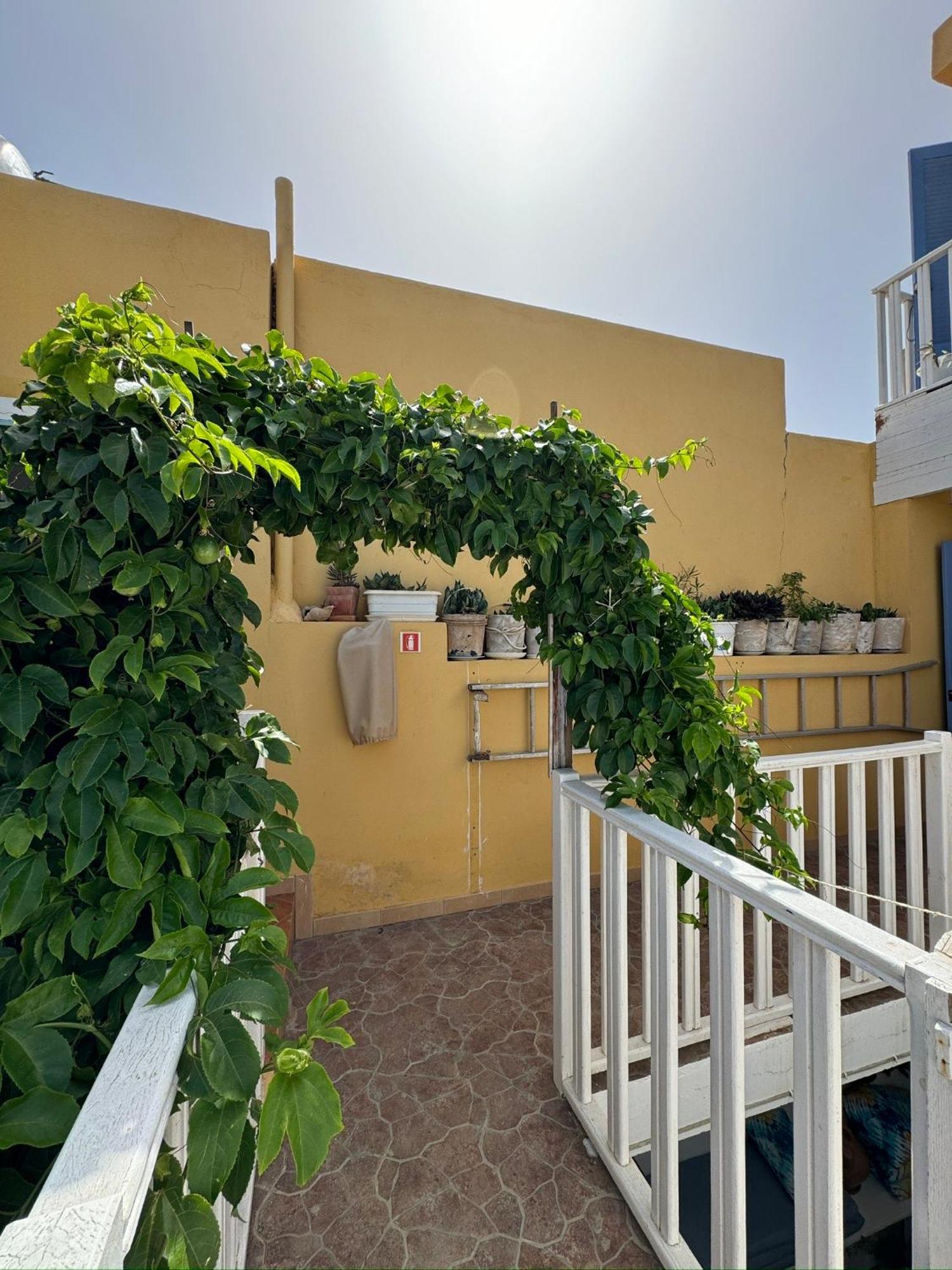 B&B Mi Ma Bo, Sal Rei, Boa Vista, Cape Verde, Free Wi-Fi מראה חיצוני תמונה