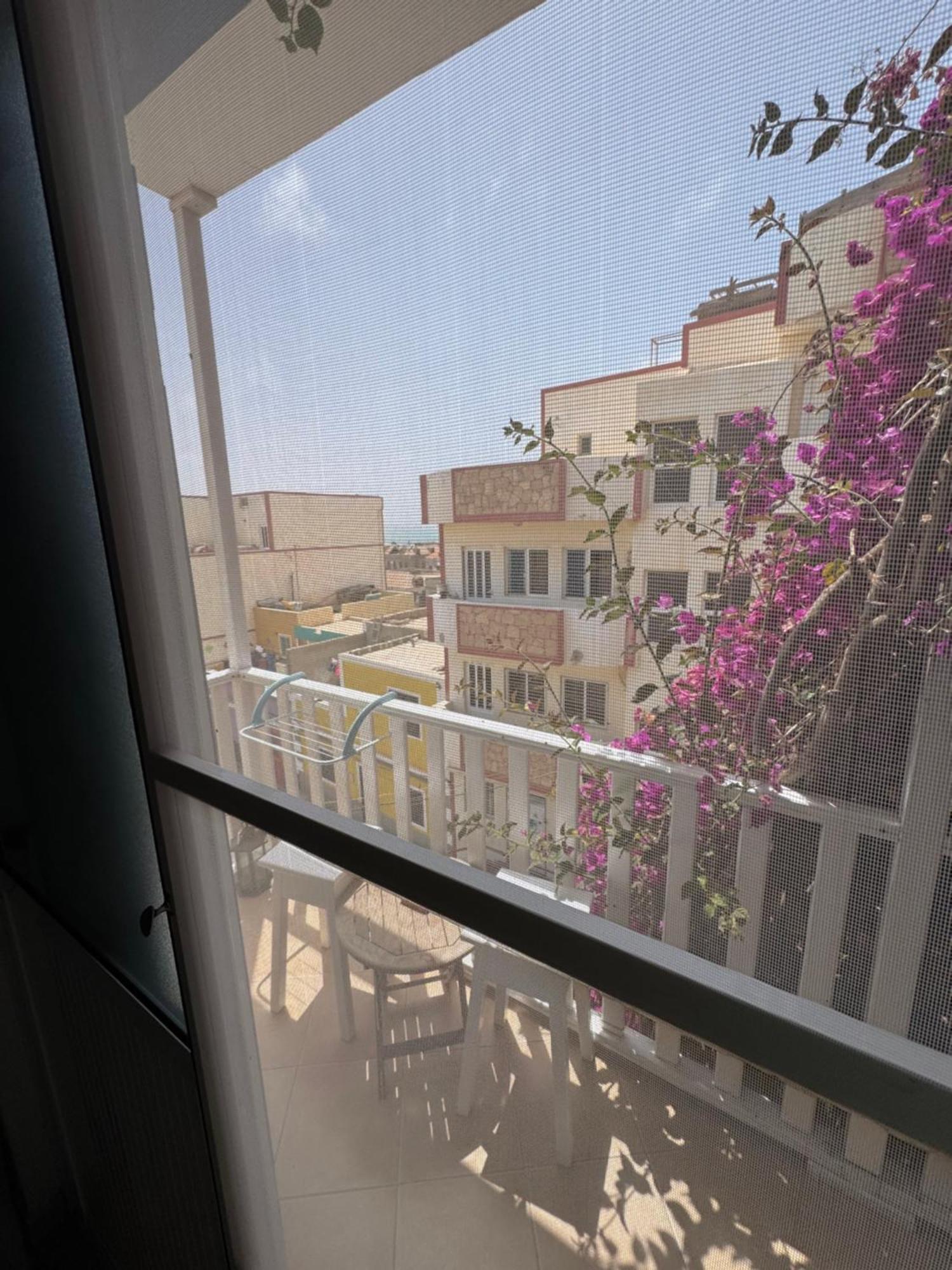 B&B Mi Ma Bo, Sal Rei, Boa Vista, Cape Verde, Free Wi-Fi מראה חיצוני תמונה
