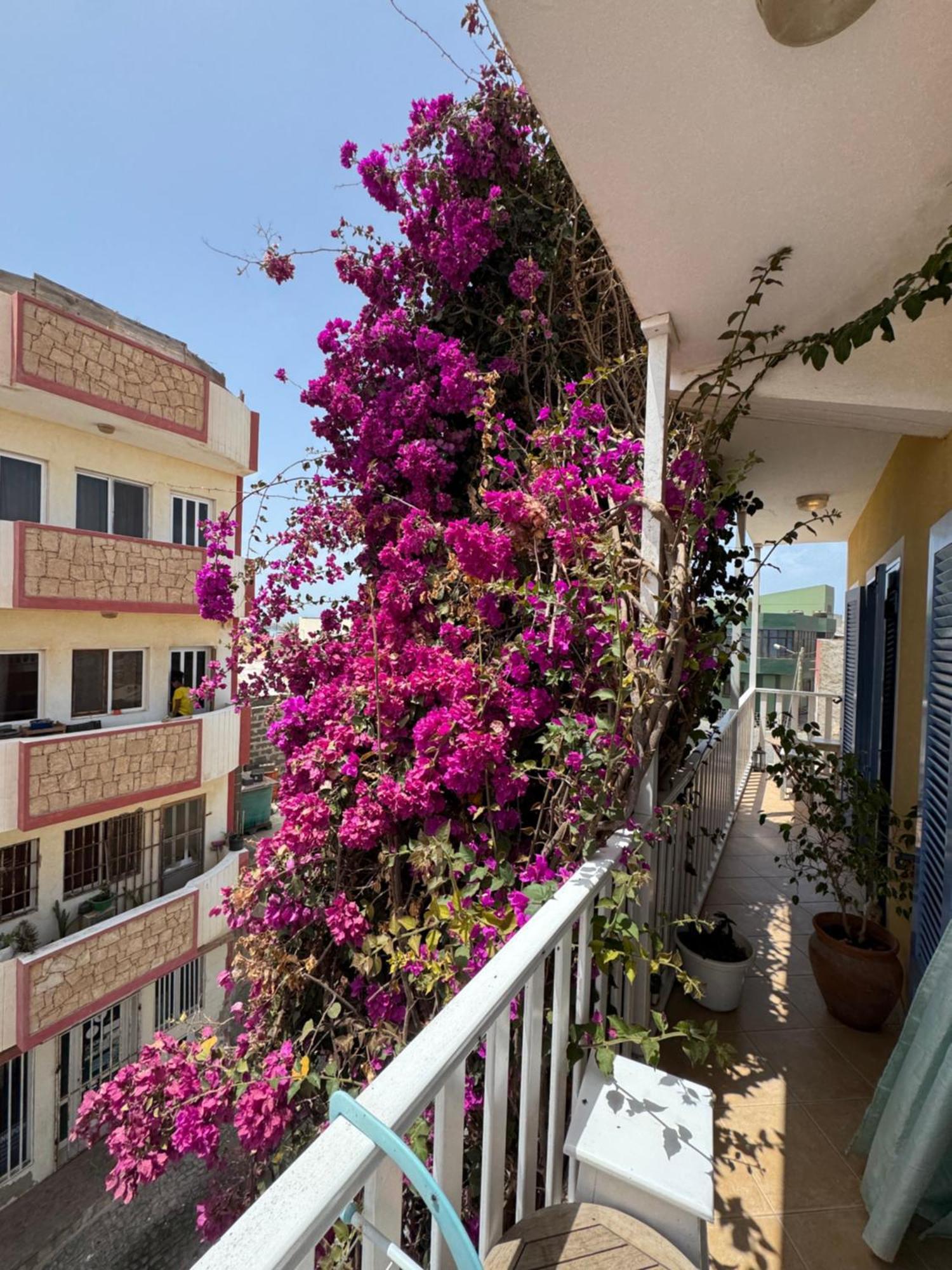 B&B Mi Ma Bo, Sal Rei, Boa Vista, Cape Verde, Free Wi-Fi מראה חיצוני תמונה